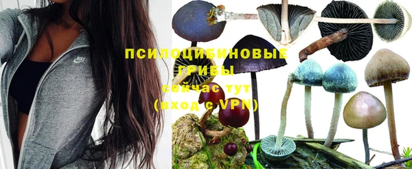 ешки Абинск