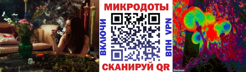 Псилоцибиновые грибы Cubensis Урус-Мартан