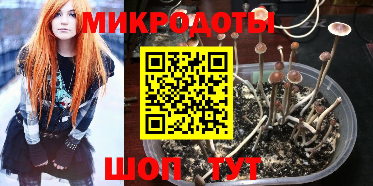 Урус-Мартан  Галлюциногенные грибы GOLDEN TEACHER  Вход с VPN 